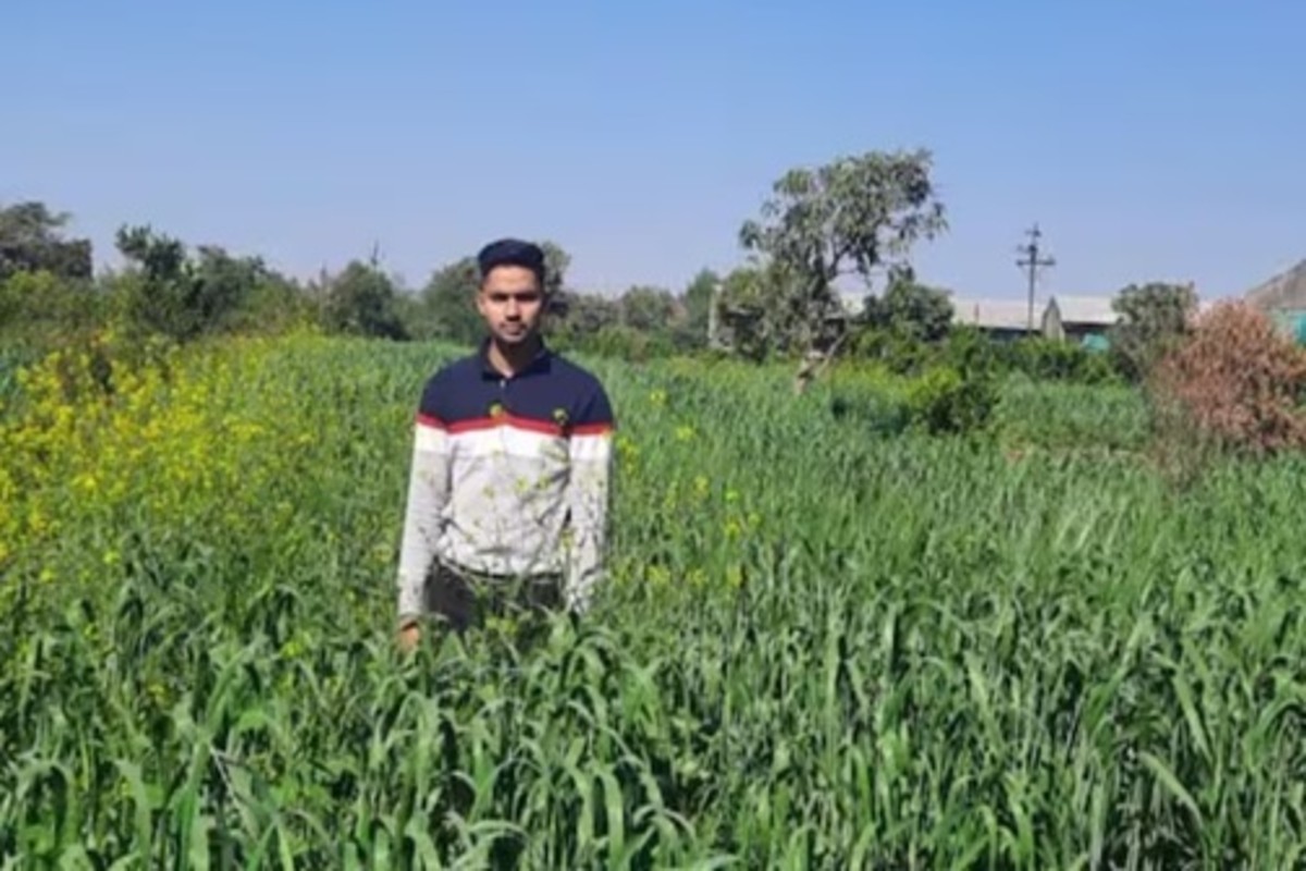 Organic Farming
