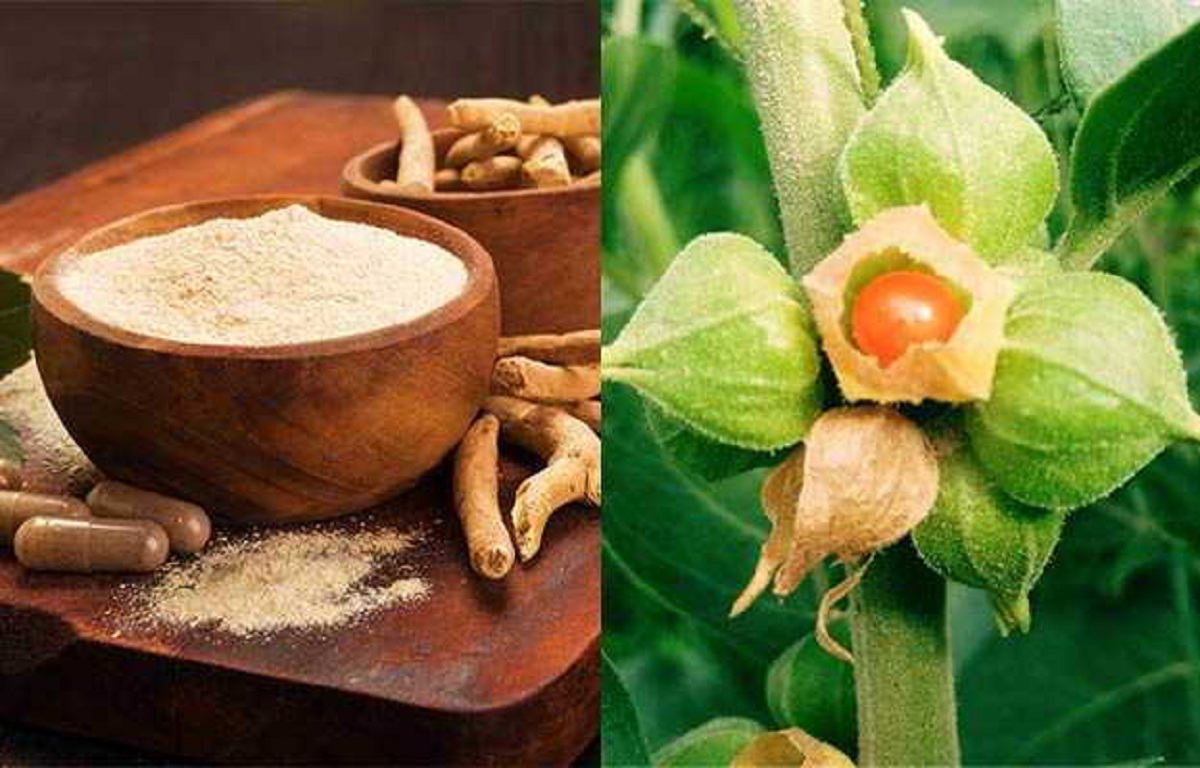 Ashwagandha Benefits Mental Health