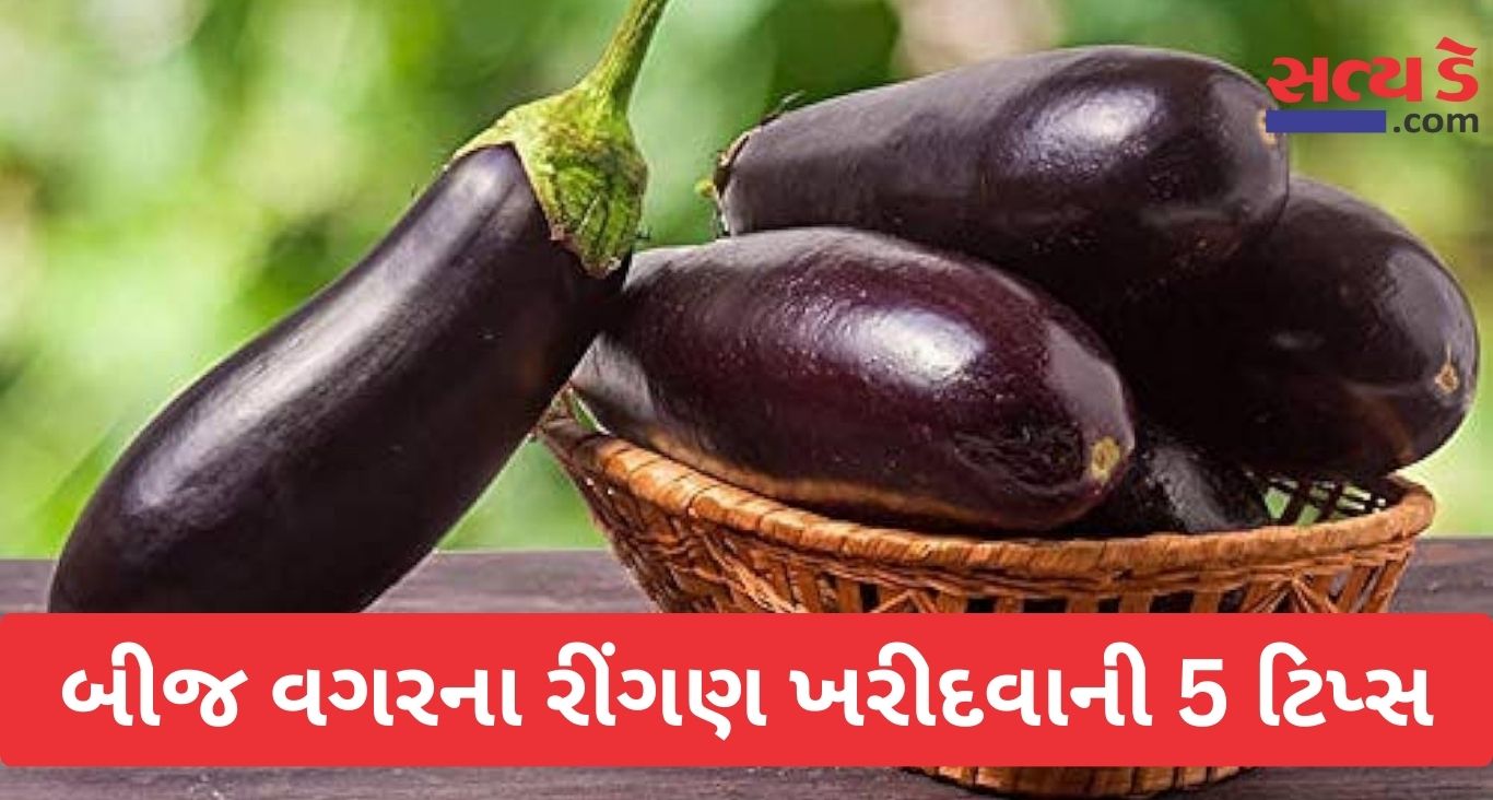 Tips For Buying Brinjal