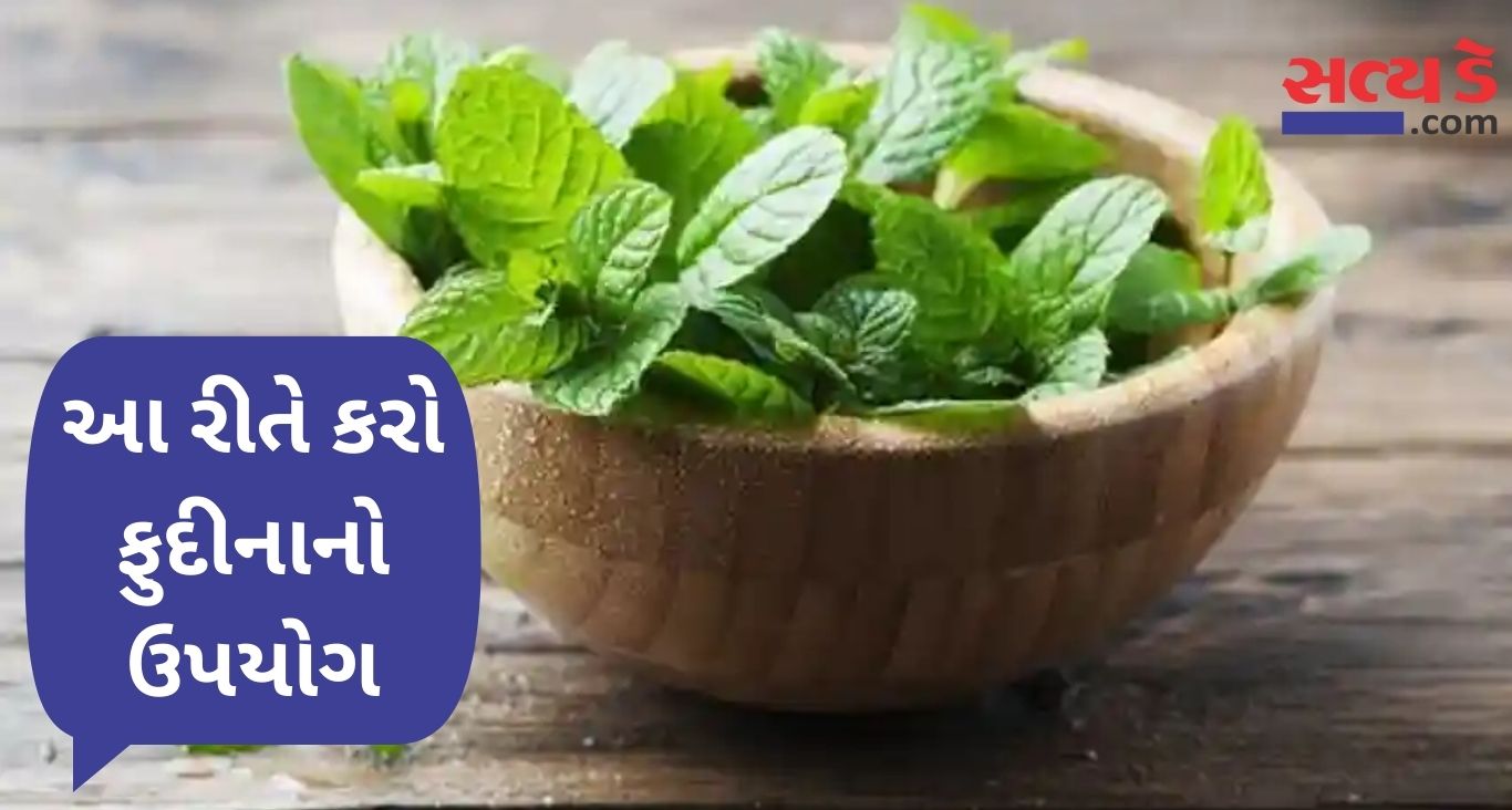 Use of mint