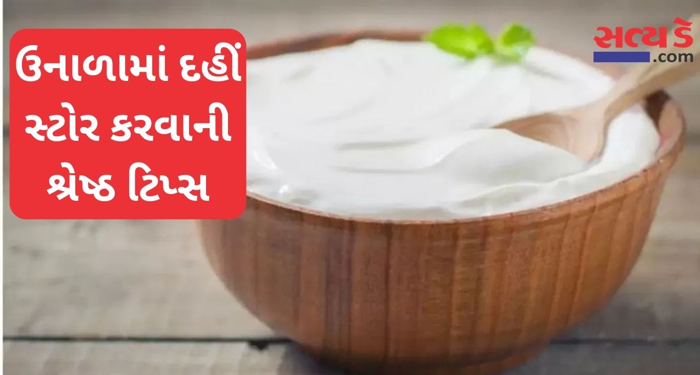 Curd Storing Tips