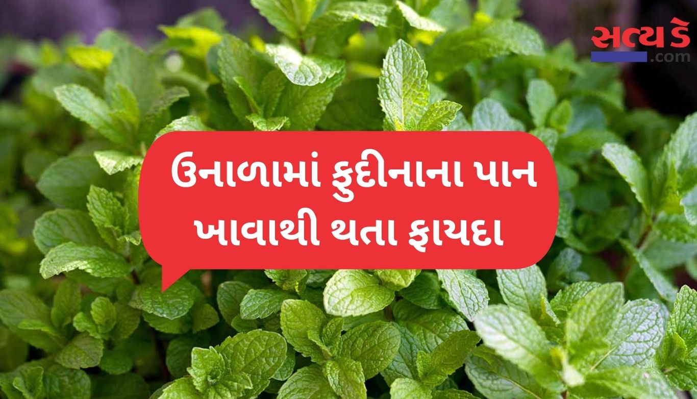 Mint Benefits