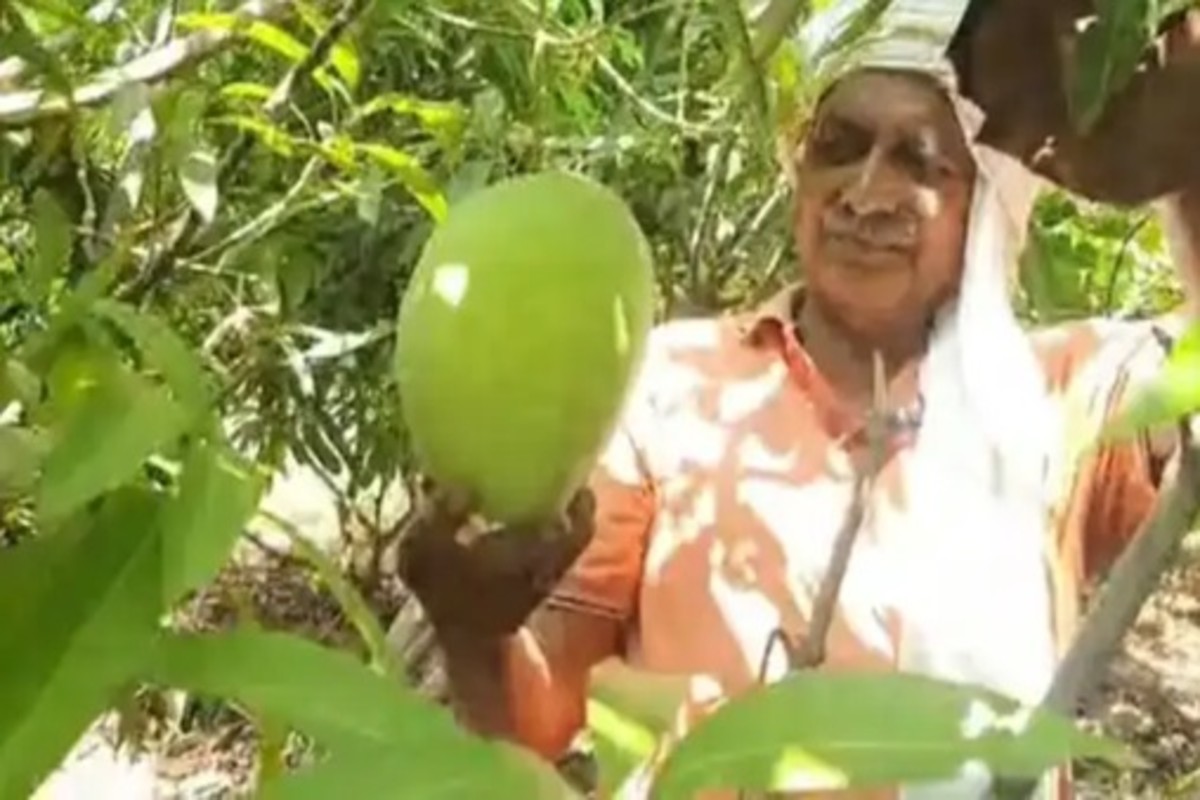 Farmer success