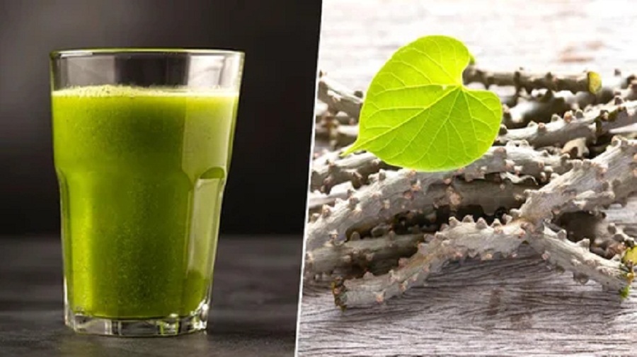 Giloy juice