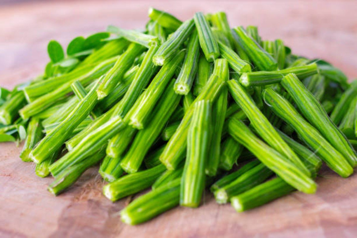 Moringa Farming