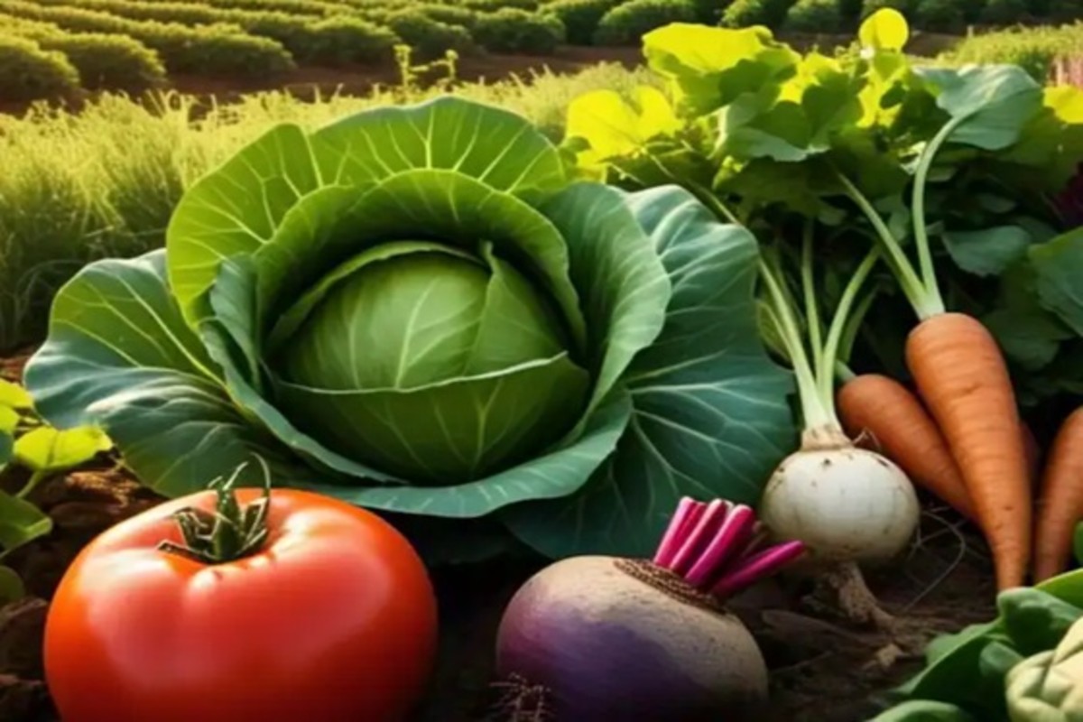 Natural Farming Success Story