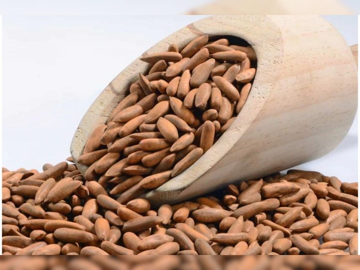 Pine Nut Benefits
