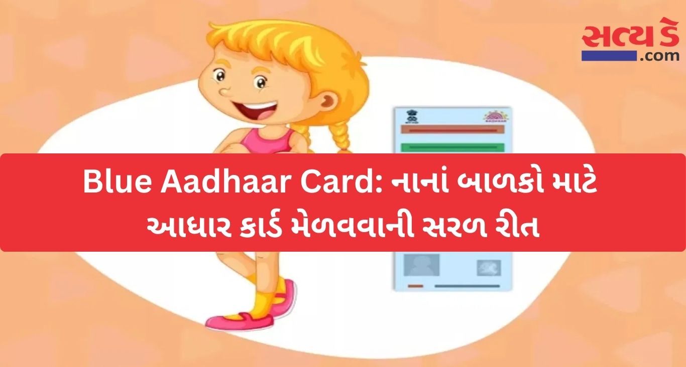 Blue Aadhaar Card