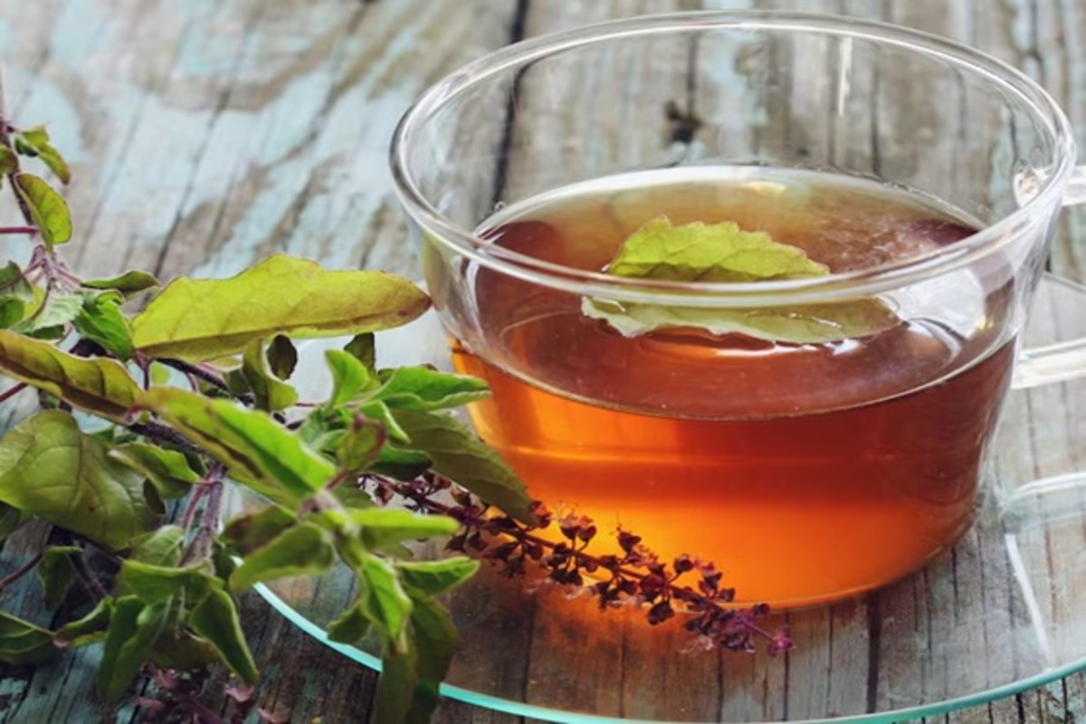 Tulsi Sharbat for Summer Health