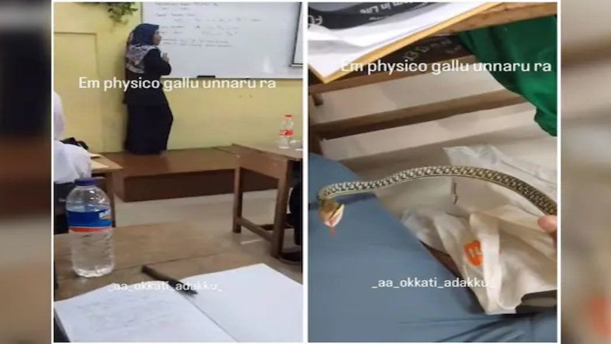 Student Brings Snake to Class Video