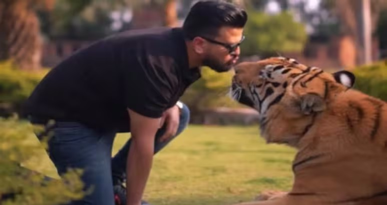 Pakistani Influencer Kisses Tiger Video