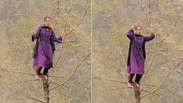 Woman dance on tree video