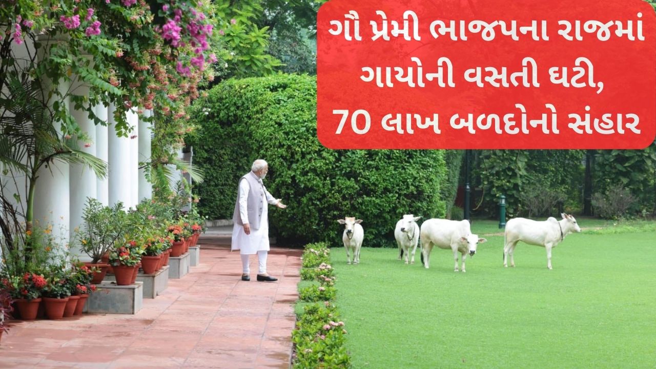 Cow-loving BJP