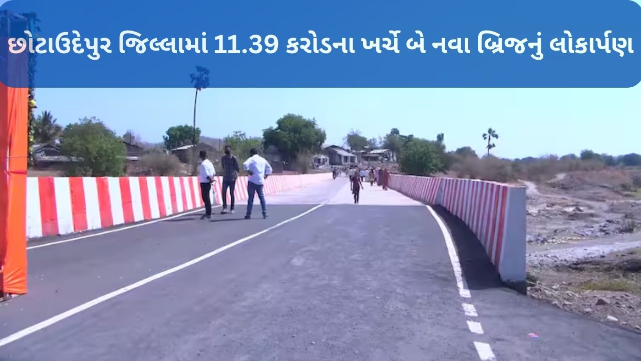 Chhota Udepur bridge inauguration