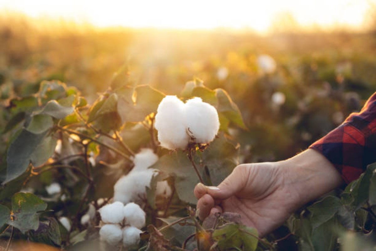 Agriculture news