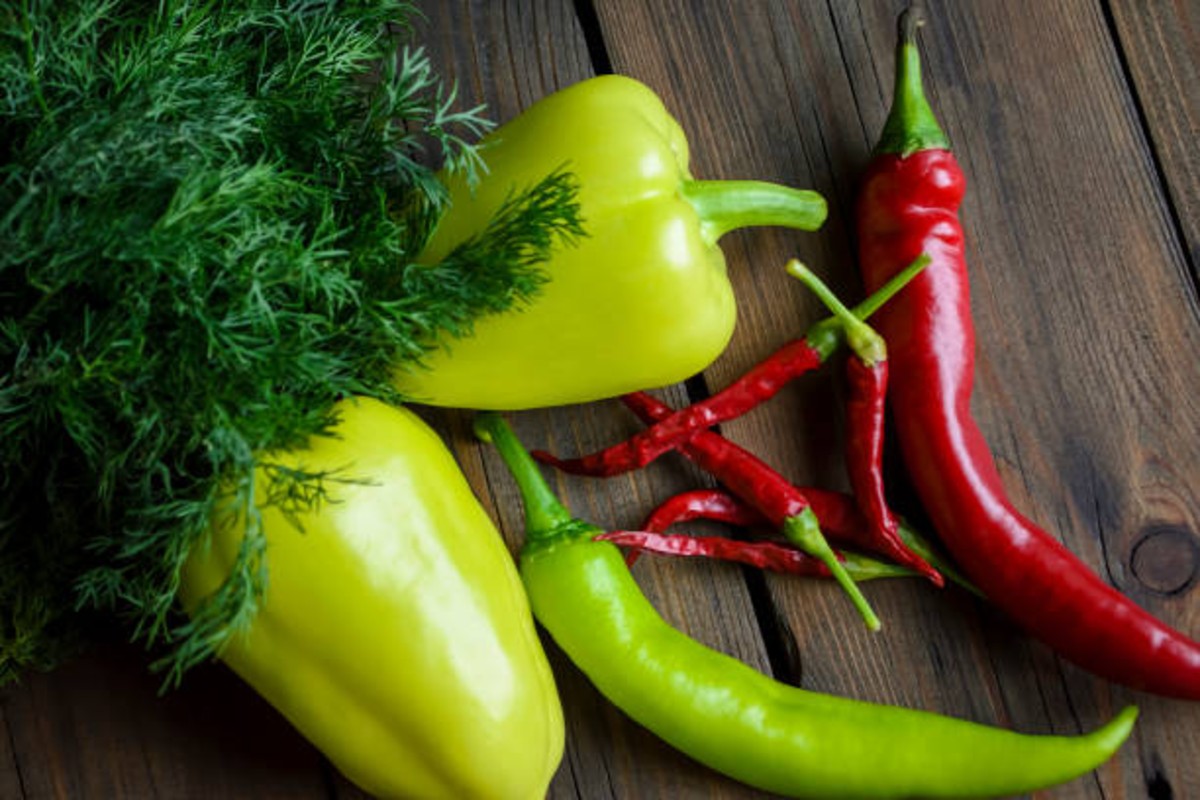 Thanjavur Chilli