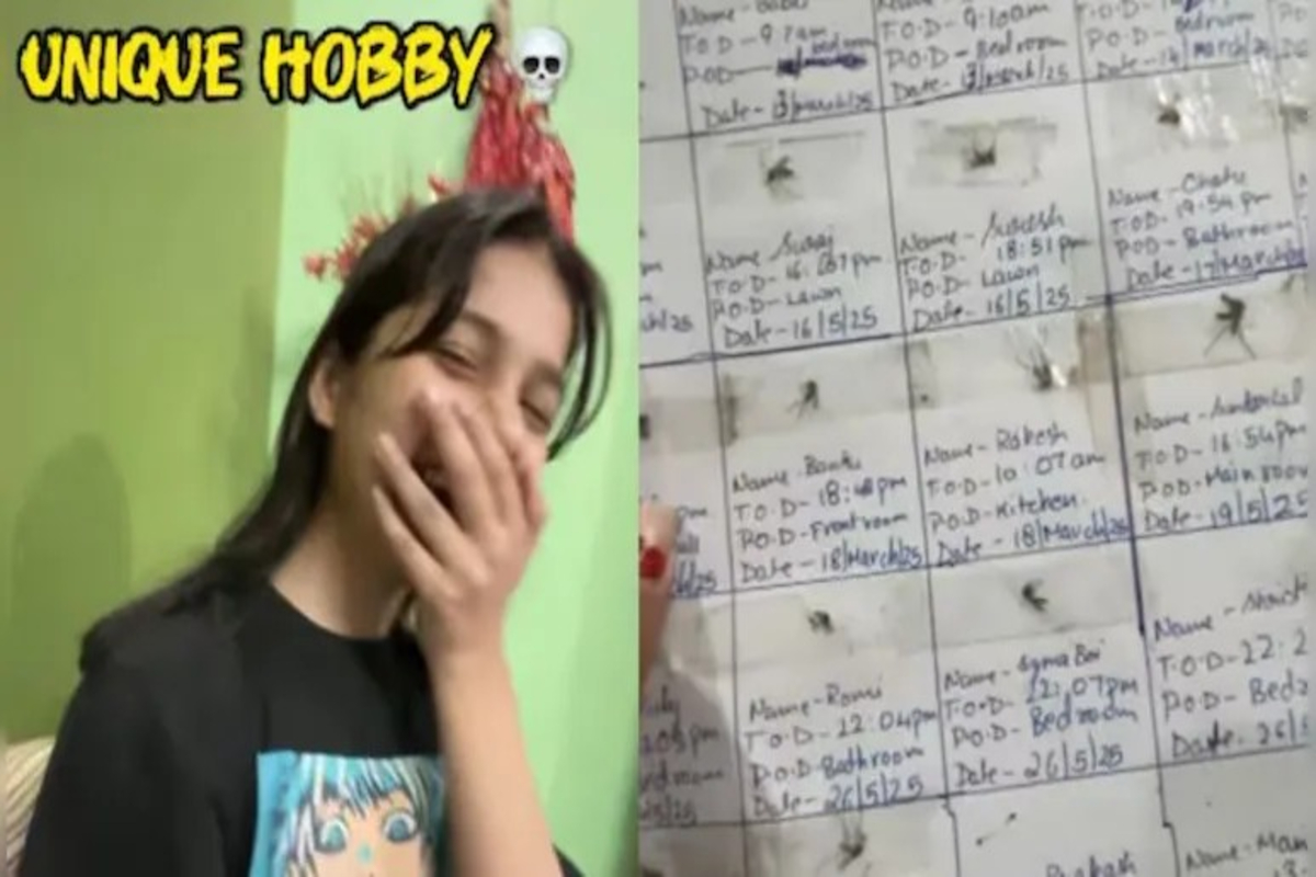 Mosquito Track Record Hobby Video