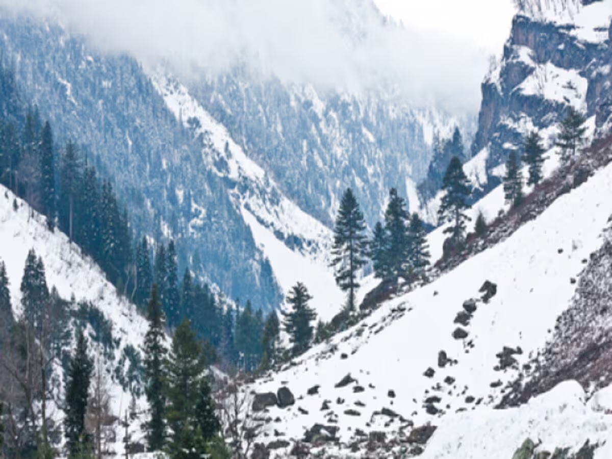 kashmir.2