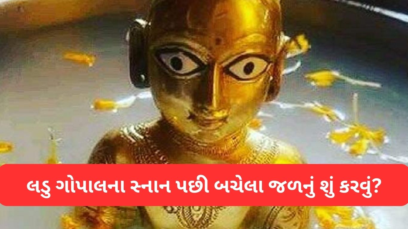 Laddu Gopal Seva