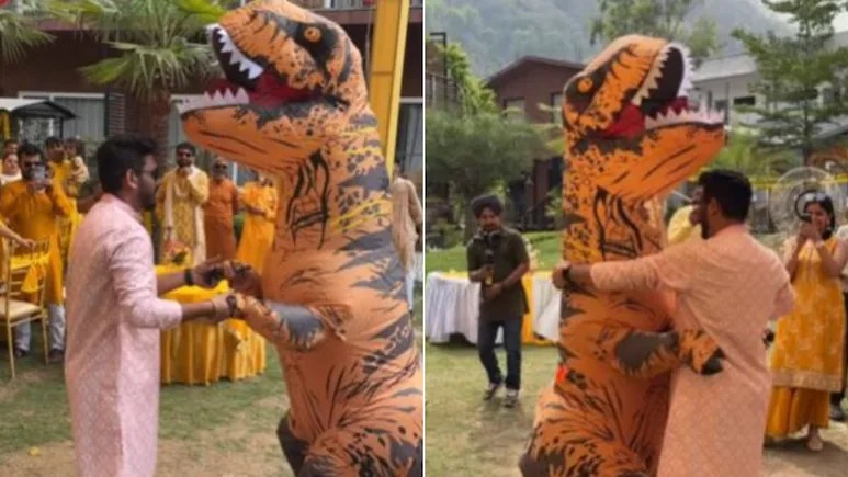 Dinosaur entered in haldi ceremony video
