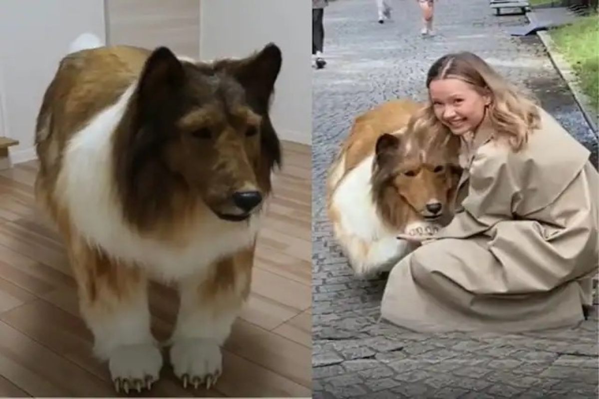 Man Spends ₹12 Lakh To Become Dog