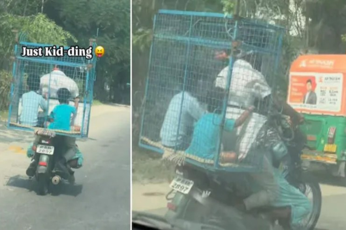 Kids in poultry carrier video