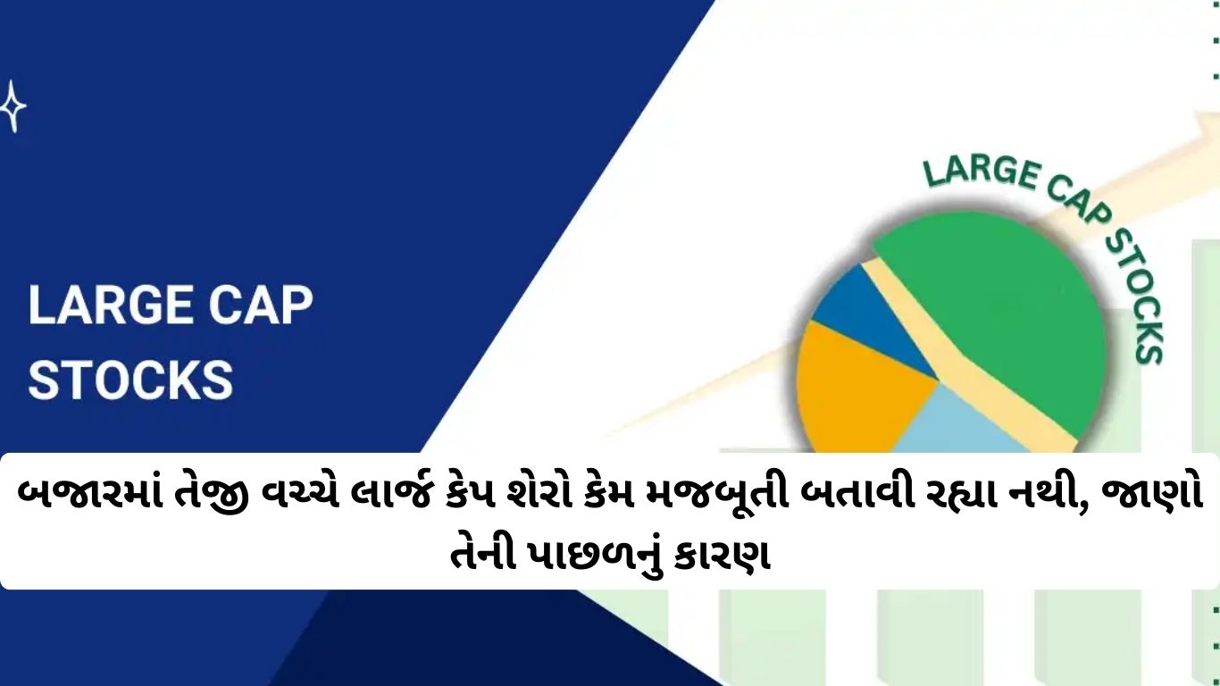 Top Large Cap Stocks