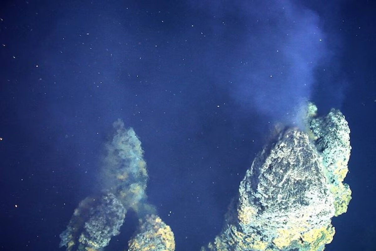 Eggs Discovered Near Volcano