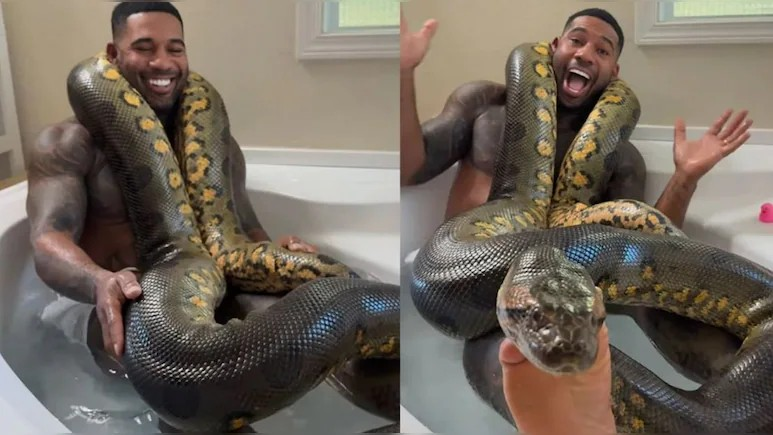Man Bathing With Python Video