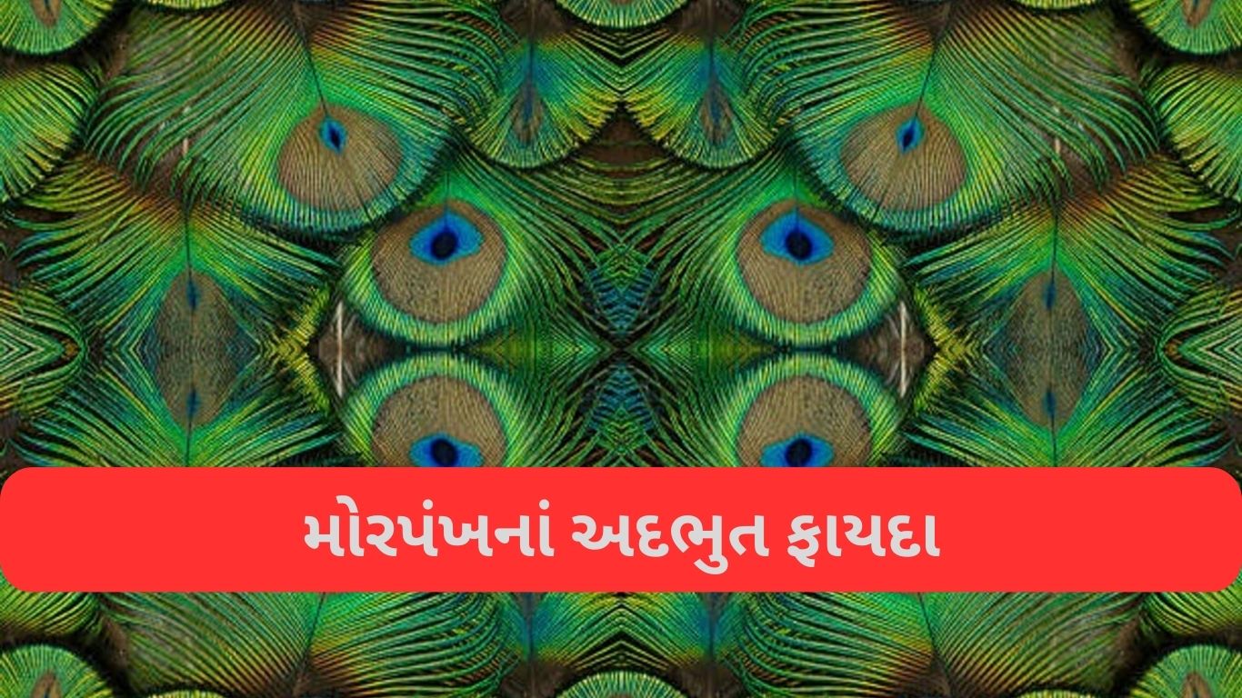 Vastu Tips