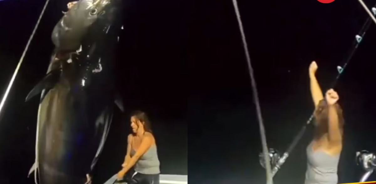 Viral Video