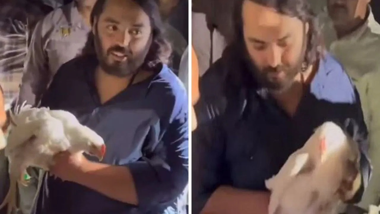 Anant Ambani Video Viral