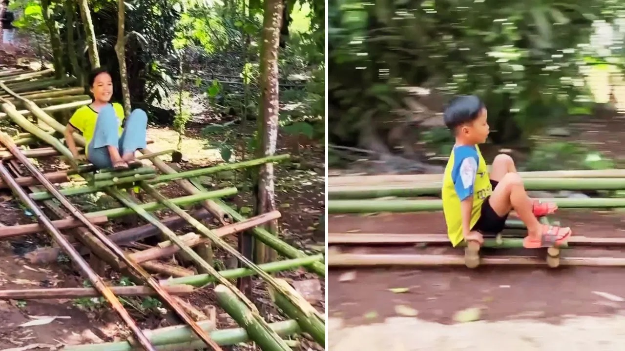Bamboo Roller Coaster Viral Video