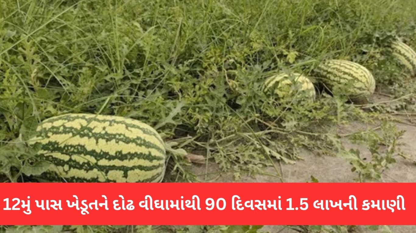 Natural Farming Success Story