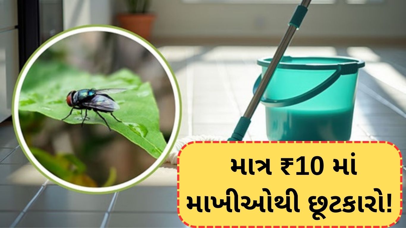 Cleaning Tips