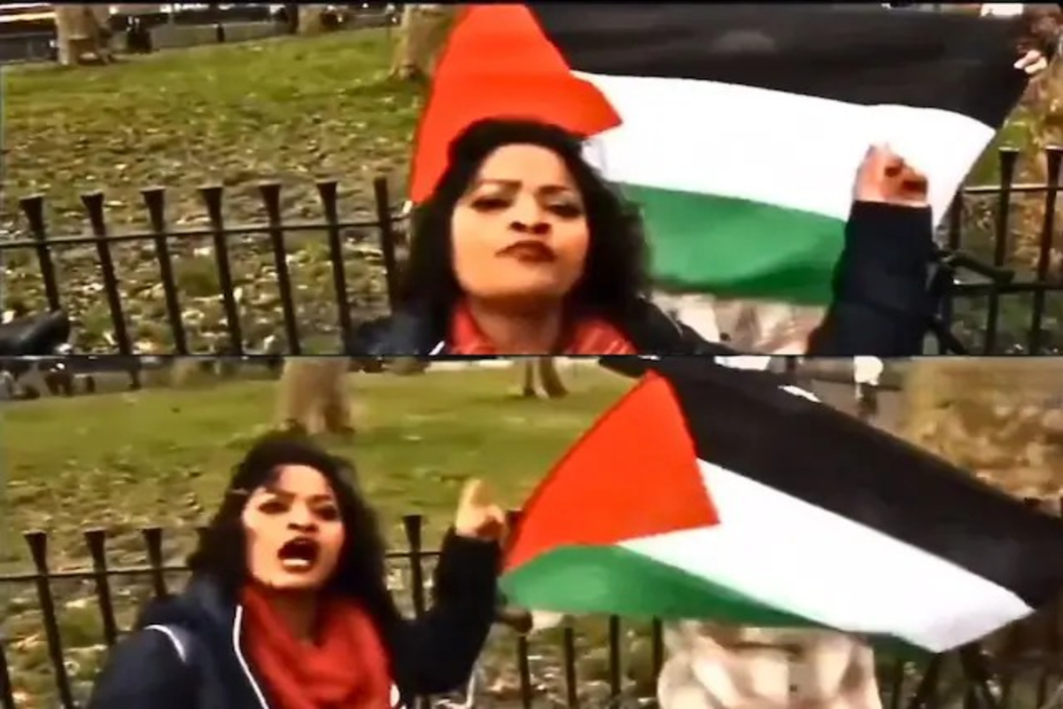 Woman Gives Reply to Palestine Supporter