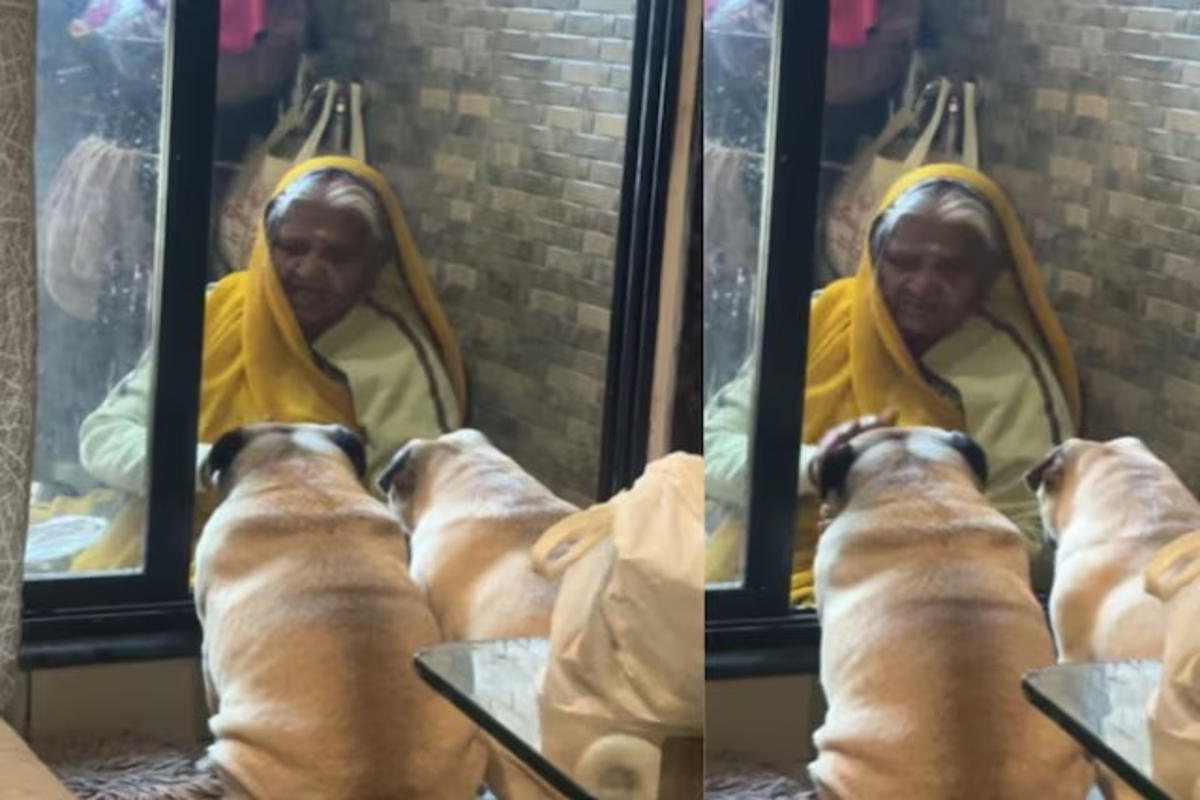 Old Woman Sings Bhajan with Dogs Video