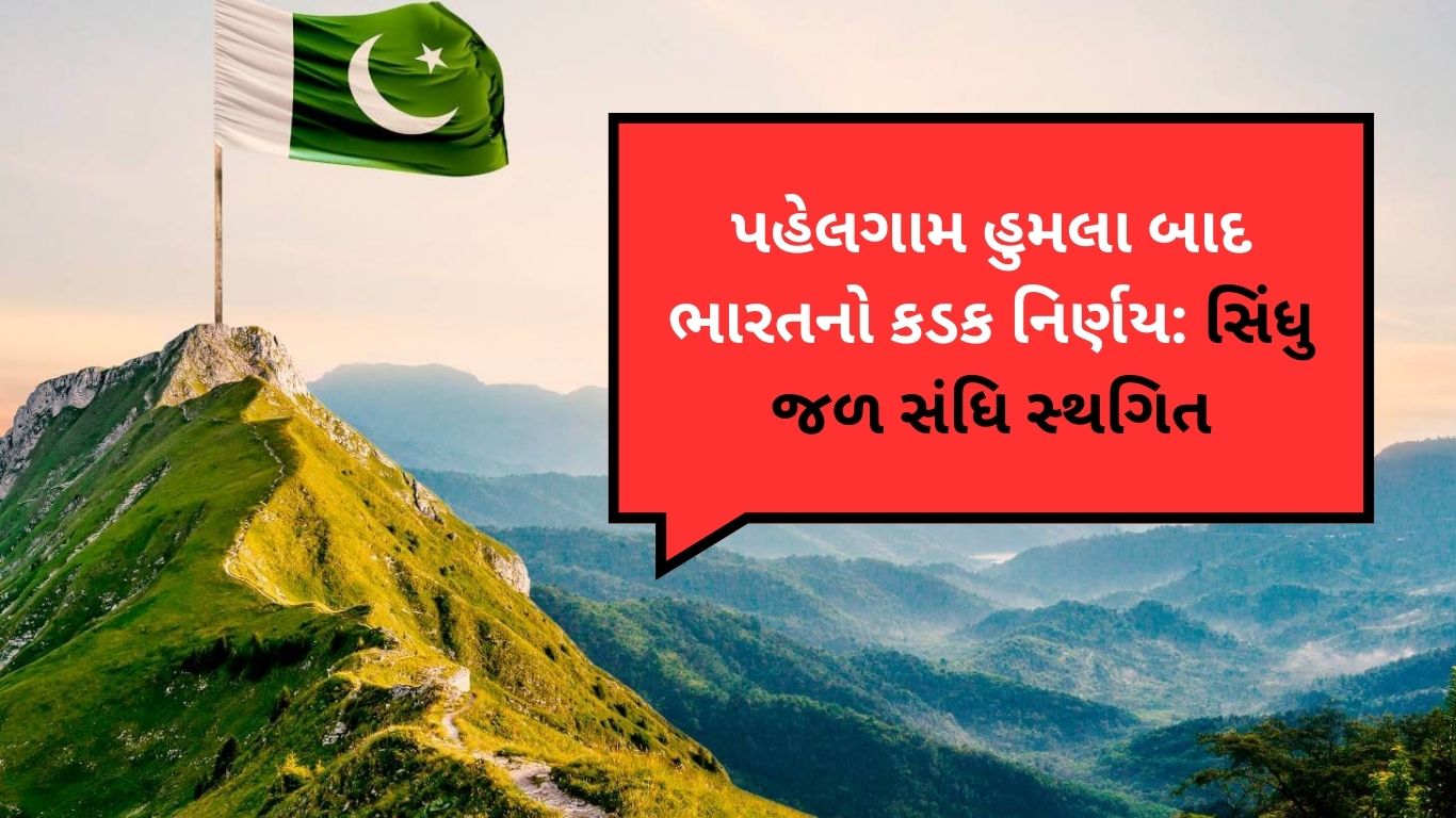 જાણો કેટલી લીચી ખાવી યોગ્ય નહિ તો સ્વાસ્થ્યને થઈ શકે નુકસાન 2