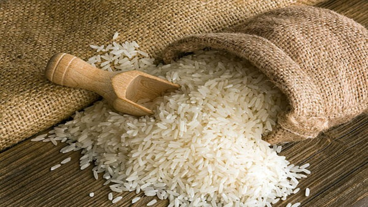 52L Rice for Ethanol Production 3