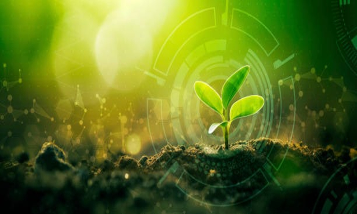 Ai Technology In Agriculture