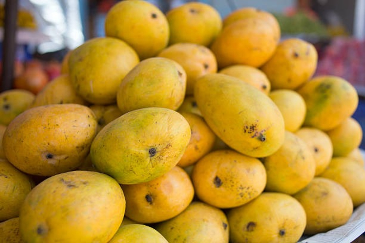 Actress named Mango Varieties 1