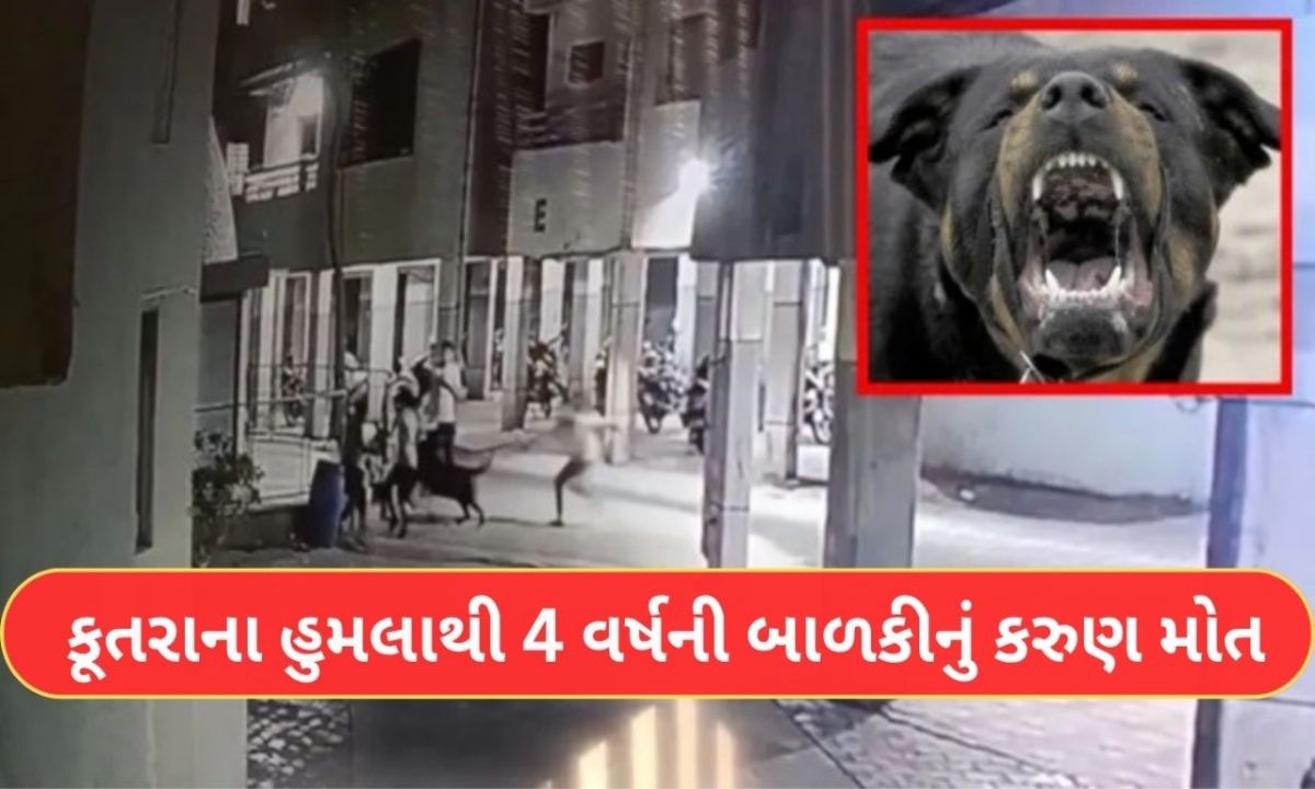 Ahmedabad dog attack child death 1