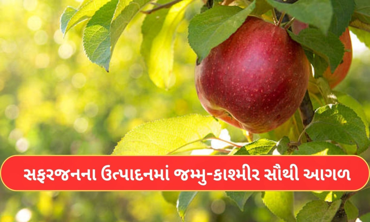 Apple Farming 1