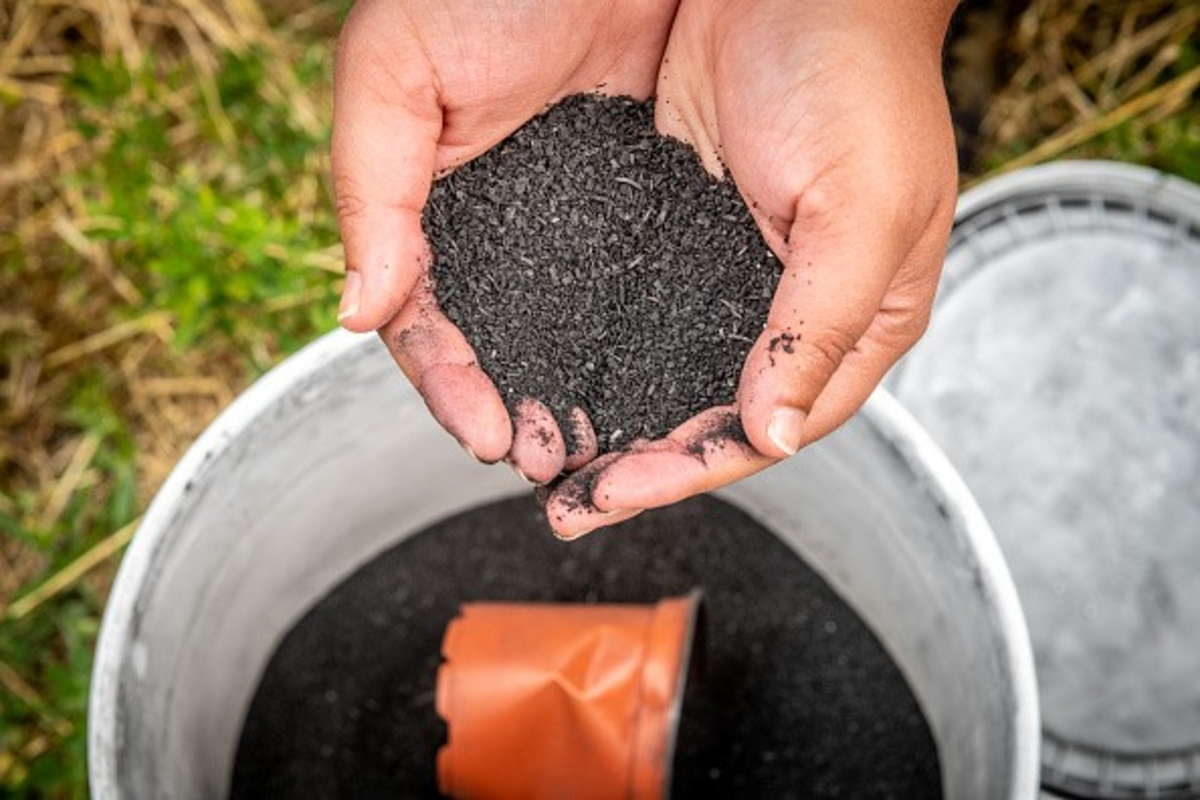 Biochar Solution For Soil Improvement 1 Satya Day