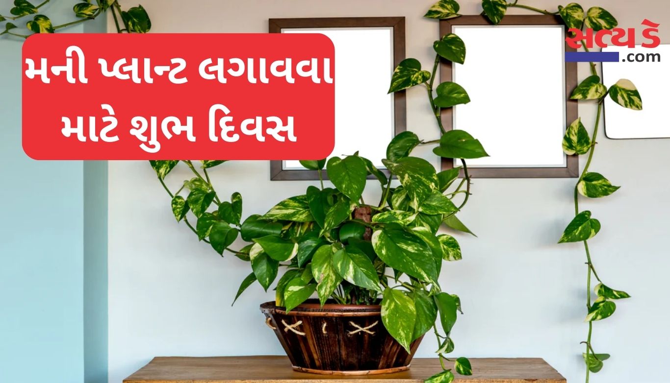 Vastu Tips