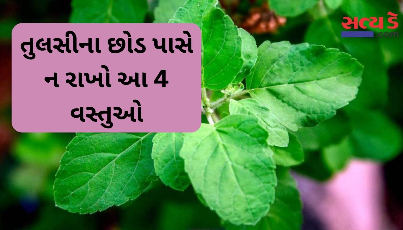 Vastu Tips