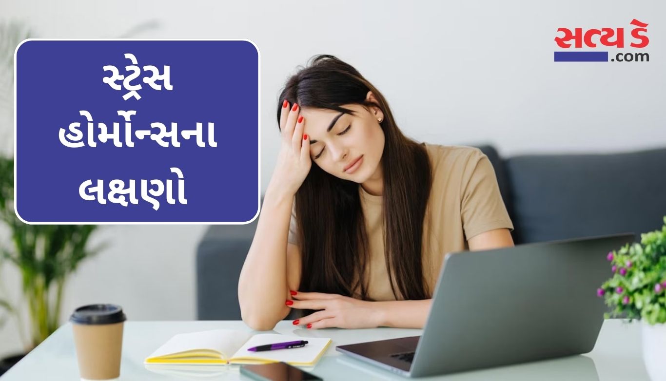 Stress Hormone Symptoms