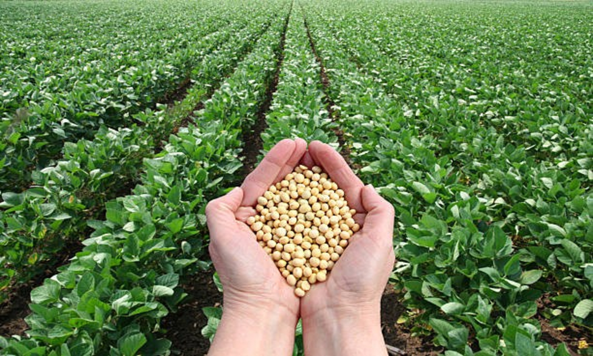 Crops seeds with brochures 1