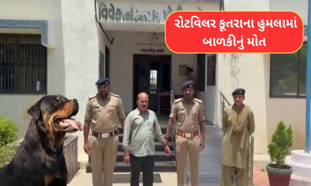 Dog attack death Ahmedabad 1