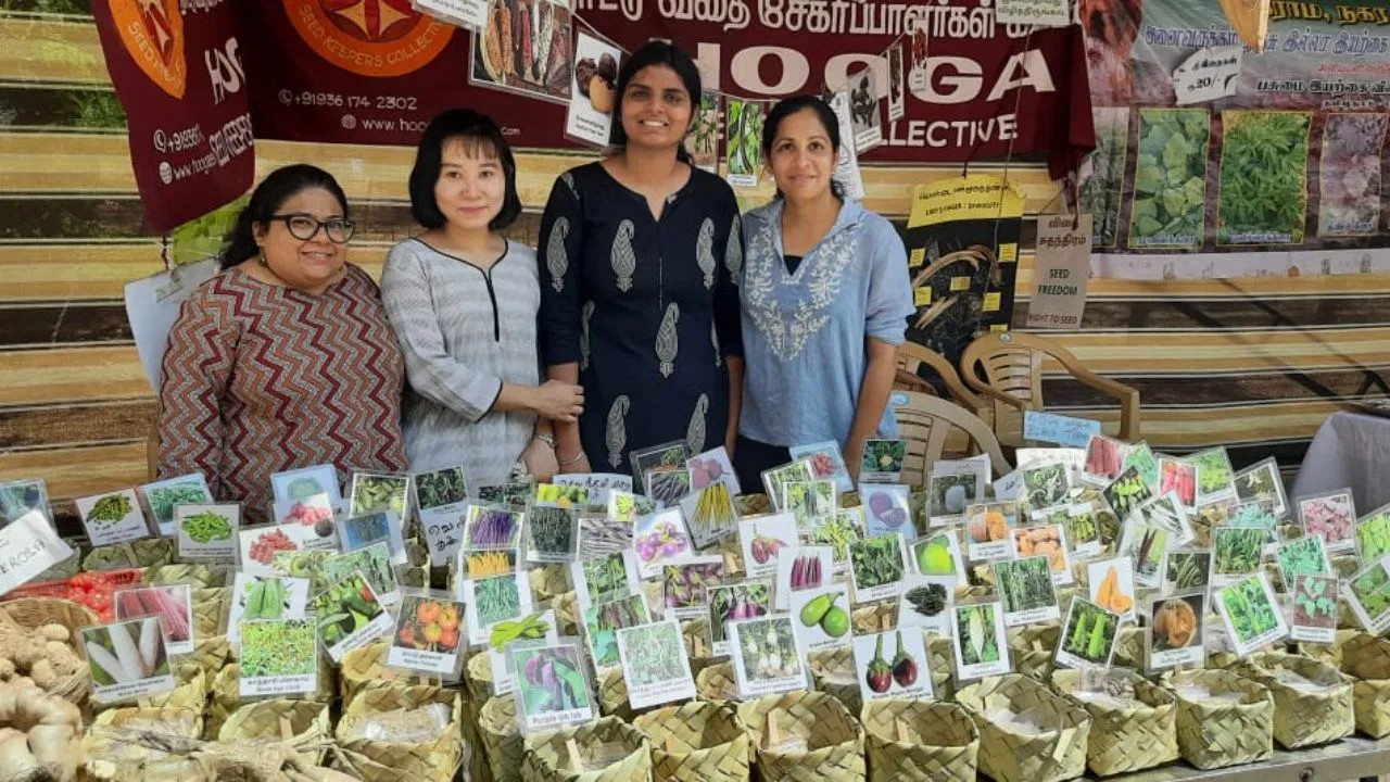 From IT to Indigenous Seeds 1